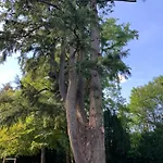 Avec Grande Terrasse Bagnoles de l'Orne Normandie
