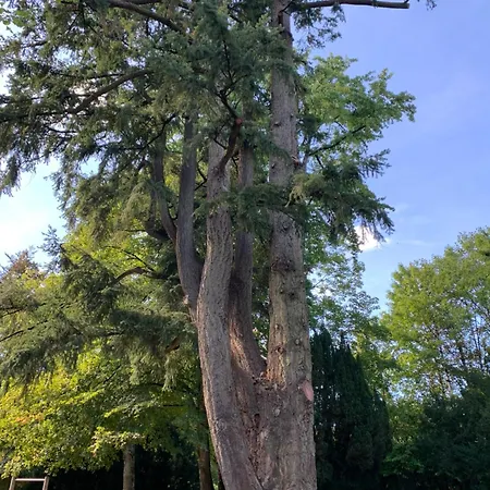 Avec Grande Terrasse Bagnoles de l'Orne Normandie