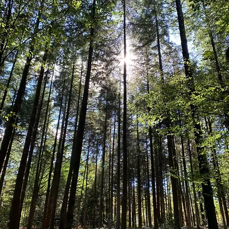 شقة Avec Grande Terrasse