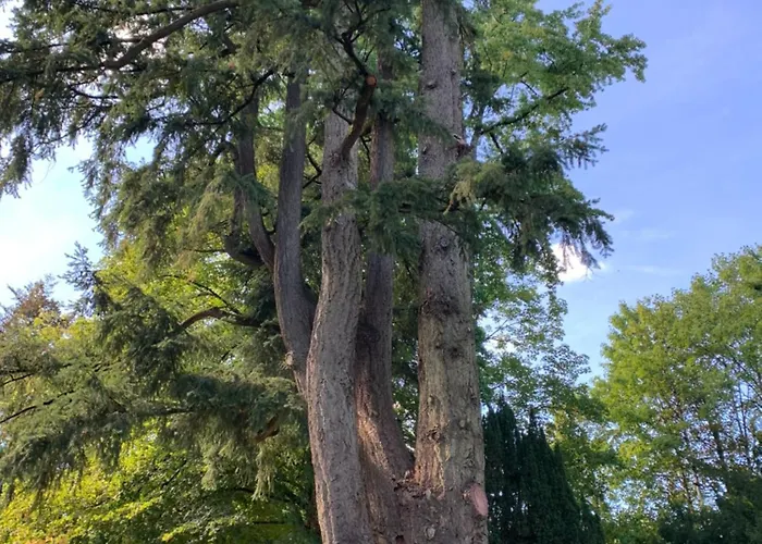 Avec Grande Terrasse Bagnoles de l'Orne Normandie