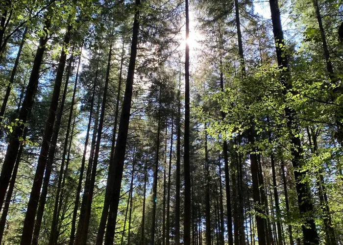 Apartment Avec Grande Terrasse